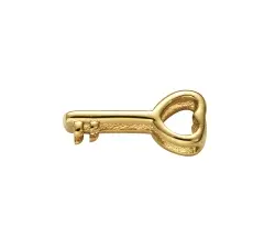 Motivo Viceroy de acero IP dorado en forma de llave.